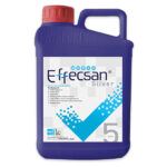 افکسان سیلور ویواپارس