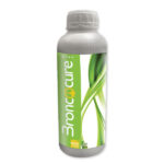 برونکوکیور ویواپارس