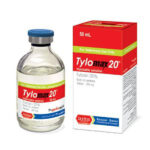 تایلو مکس 20 رویان