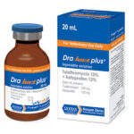 درا جکت پلاس رویان