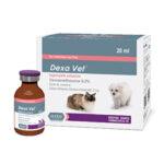 دگزا وت رویان