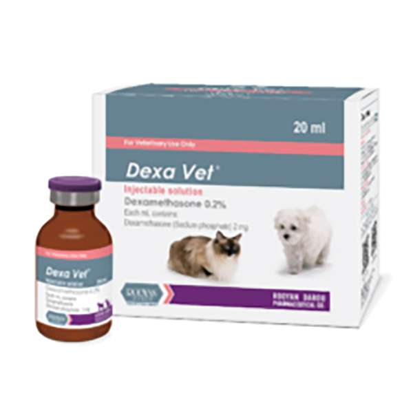 دگزا-وت-رویان دگزا وت رویان - تصویر 1