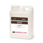 رافونیل رویان