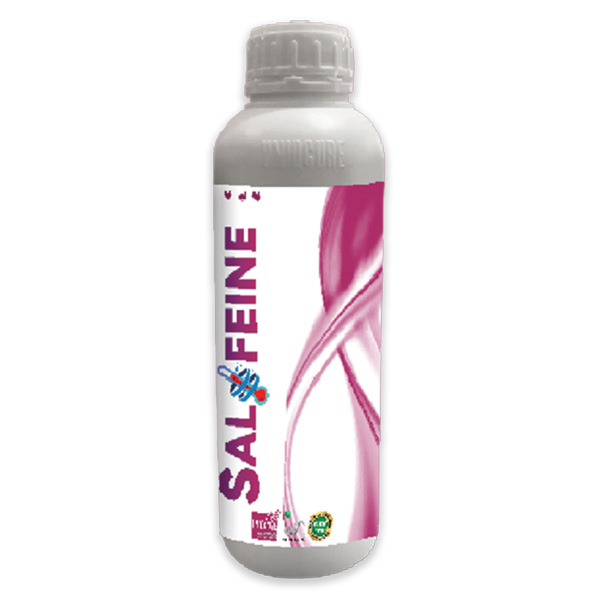 سالفئین-ویواپارس سالیفئین ویواپارس - تصویر 1