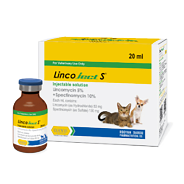 لینکوجکت-اس-رویان لینکو جکت اس رویان - تصویر 1