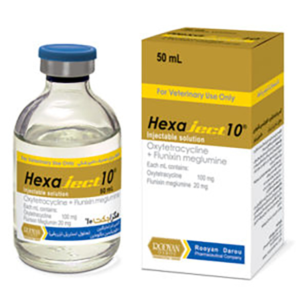 هگزاجکت-10-رویان هگزا جکت 10 رویان - تصویر 1