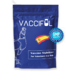 وکسی فول ویواپارس