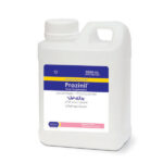 پرازی نیل رویان