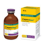 کارپرو جکت رویان