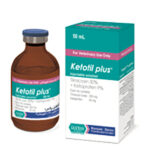 کتوتیل پلاس رویان