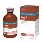 آیور وان رویان