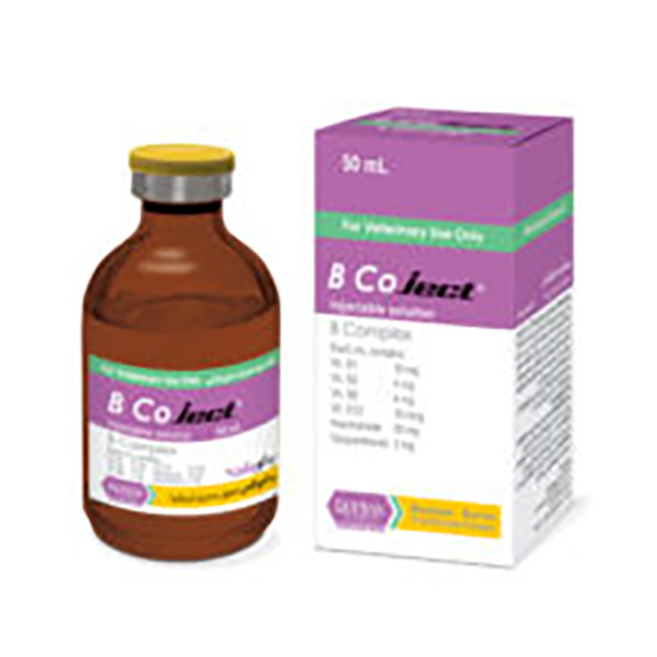 ب-کو-جکت-رویان ب کوجکت رویان - Image 1