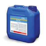 بلو دیپ رویان