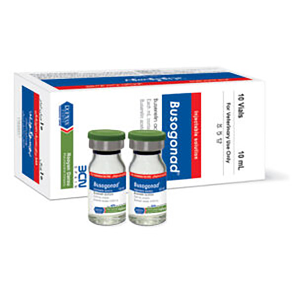 بوسوگوناد-رویان بوسوگوناد رویان - تصویر 1