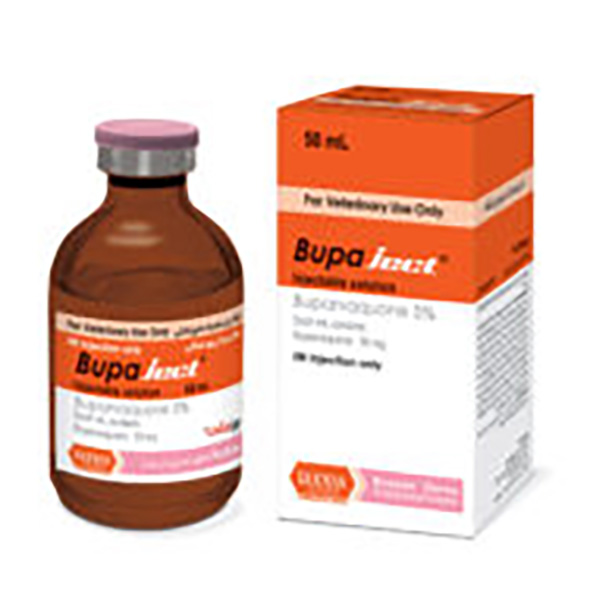 بوپا-جکت-رویان بوپا جکت رویان - Image 1