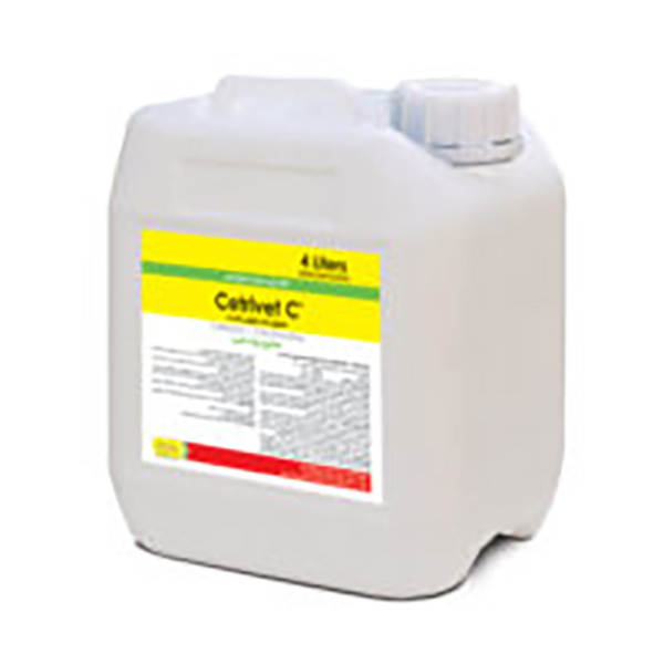 ستری-وت-سی-رویان ستری وت سی رویان - Image 1