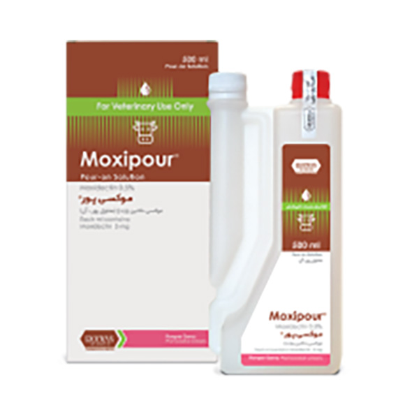 موکسی-پور-رویان موکسی پور رویان - تصویر 1