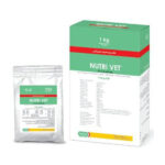 نوتری وت رویان