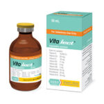 ویتا جکت رویان