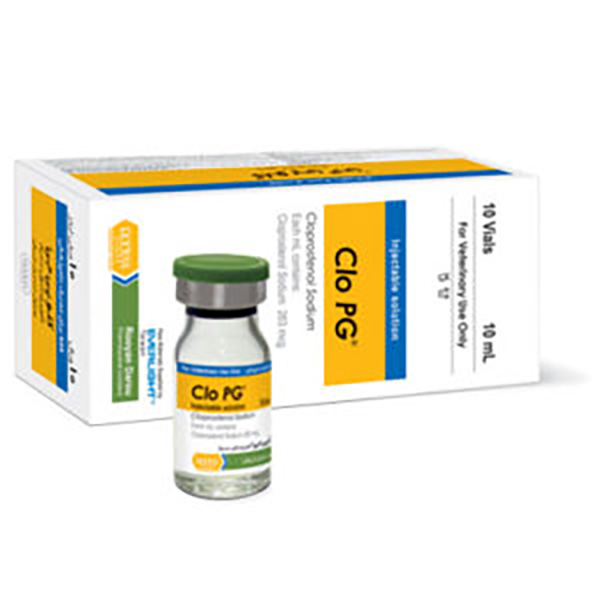 کلو-پی-جی-رویان کلو پی جی رویان - تصویر 1