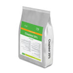 کلوپیدول 25% رویان