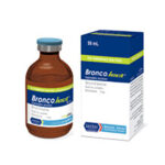 برونکوجکت رویان