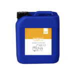 سناگلوتارین سنادام