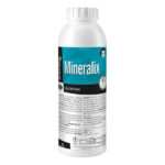 مینرالیکس کیان دارو