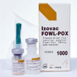 واکسن VAXXON FOWL-POX پارسیان اکسیر آریا