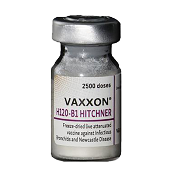 واکسن-VAXXON-H120-B1-HITCHNER-پارسیان-اکسیر-آریا واکسن VAXXON H120-B1 HITCHNER پارسیان اکسیر آریا - تصویر 1