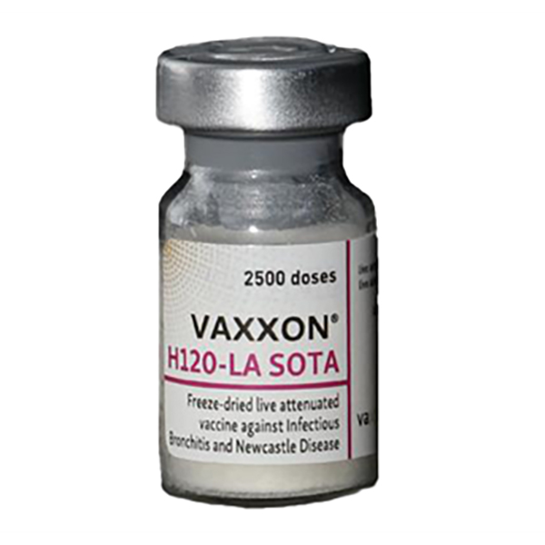 واکسن-VAXXON-H120-LASOTA-پارسیان-اکسیر-آریا واکسن VAXXON H120-LASOTA پارسیان اکسیر آریا - تصویر 1