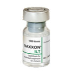 واکسن VAXXON ILT پارسیان اکسیر آریا