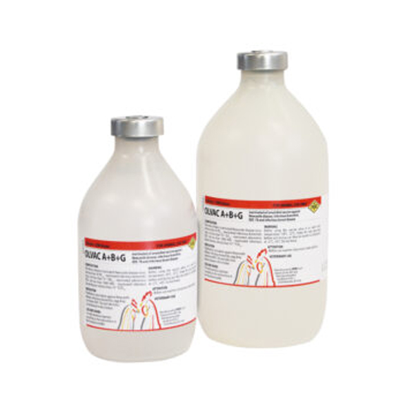 واکسن-چهارگانه-کشته-OLVAC-A+B+G-رویان واکسن چهارگانه کشته OLVAC A + B + G رویان - تصویر 1