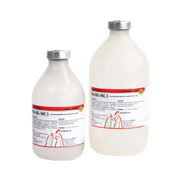 واکسن-کشته-HG-GEL-VAC-3-رویان واکسن کشته HG GEL-VAC 3 رویان - Image 1