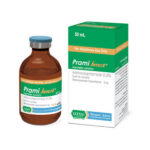 پرامی جکت رویان