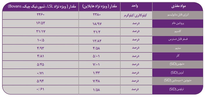 کنستانتره مرغ تخمگذار