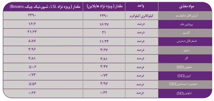 کنستانتره مرغ تخمگذار