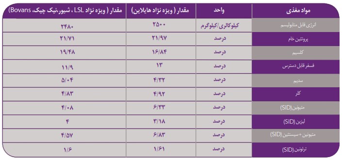 کنستانتره مرغ تخمگذار