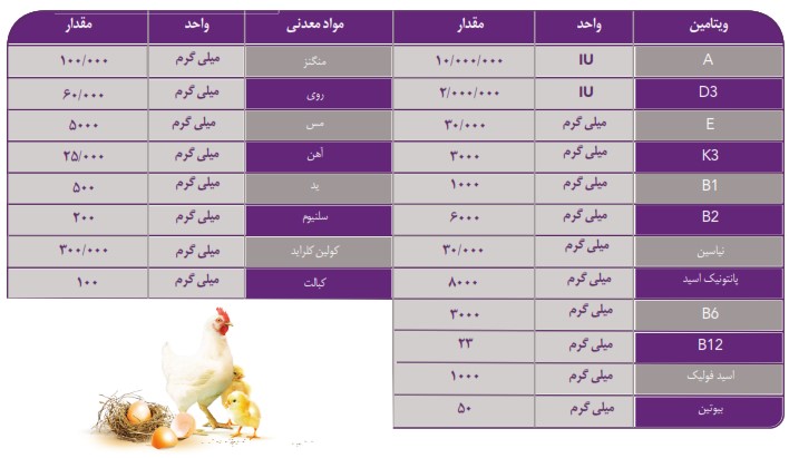 کنستانتره مرغ تخمگذار