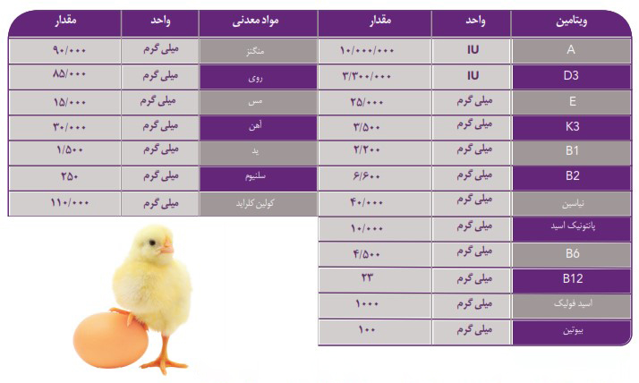 کنستانتره مرغ تخمگذار