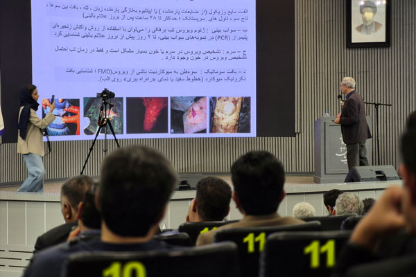 همایش تب برفکی